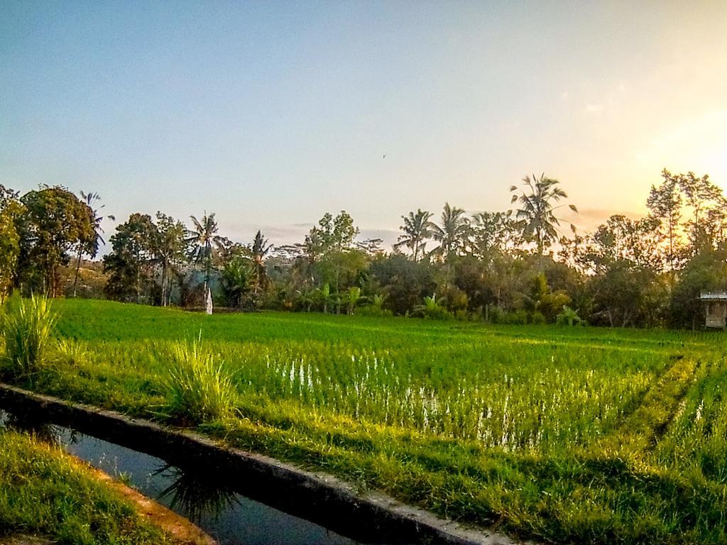 Paradise Suite Villa with Private Pool and Rice Field View